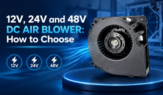 12V, 24V and 48V DC Air Blower How to Choose .webp